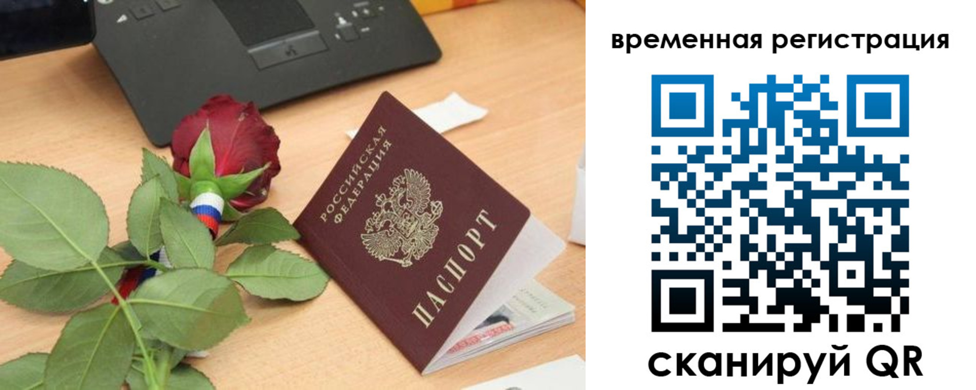 миграционный учет в Светлом